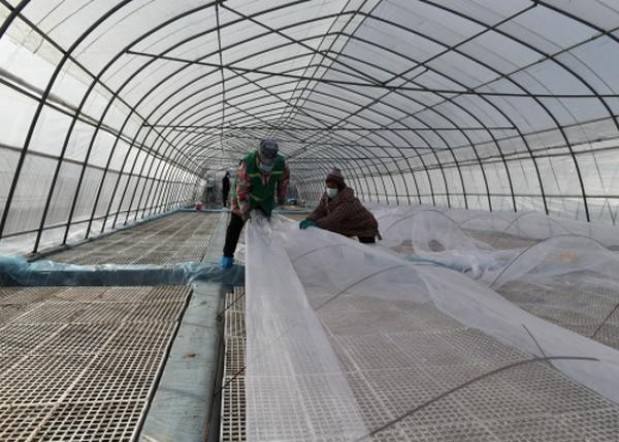 中南海特高多少钱一盒2024？中南海特高价格表一览 