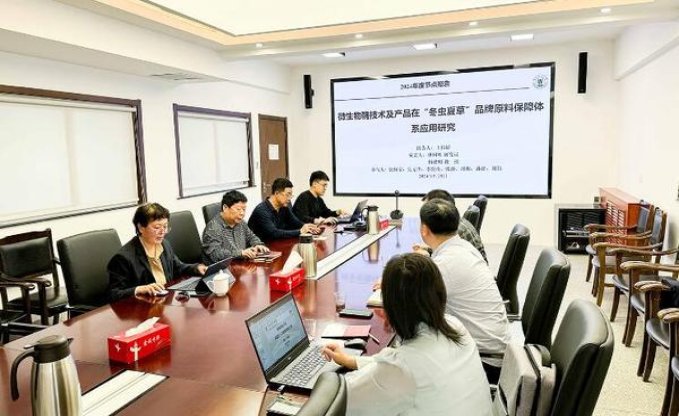 南京(紫树)批发价格，南京(紫树)多少钱一包2024？