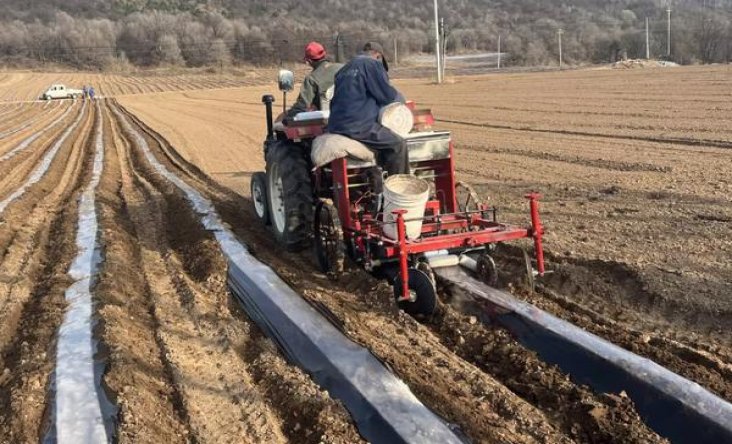 骆驼硬蓝阿根廷限定版香烟价格表2024 骆驼硬蓝阿根廷限定版批发价格是多少？