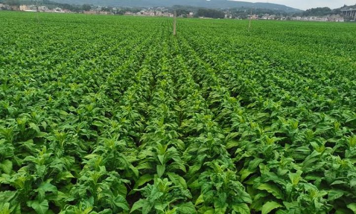 长城(揽胜3号经典)厂家渠道，长城(揽胜3号经典)价格表和图片