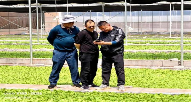 双喜百年经典新版价格表一览 双喜百年经典新版价格表图一览表 