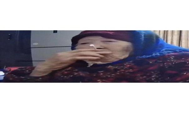 真龙锦绣价格查询 真龙锦绣价格表一览 