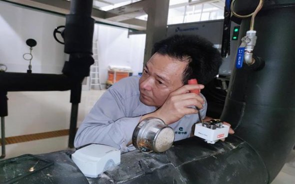 南京紫树多少钱一包2024？南京紫树批发价格是多少？