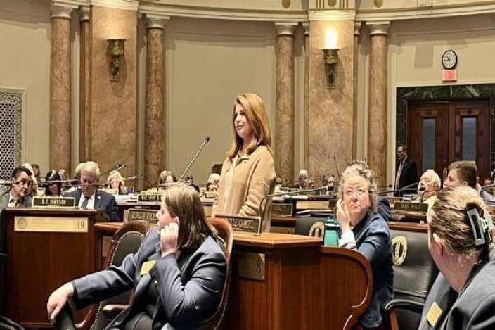 黄山(金色·佛子岭)批发，黄山(金色·佛子岭)价格表一览