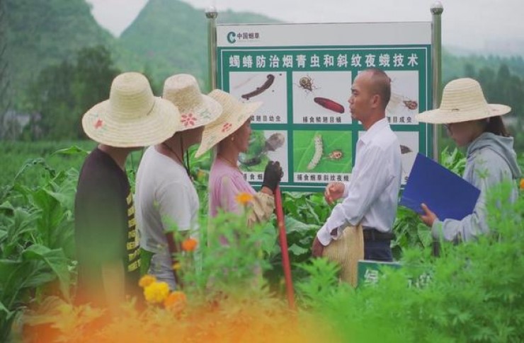 LM硬蓝欧盟含税版批发价格是多少？LM硬蓝欧盟含税版价格表图一览表 