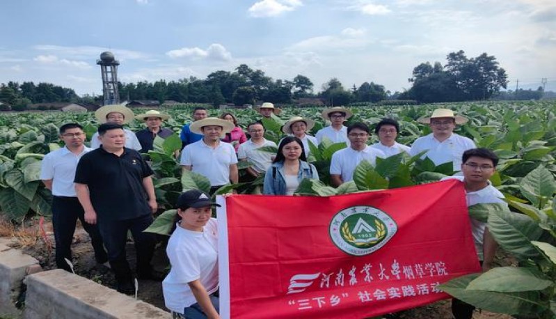 好猫(长乐九美)什么价格？好猫(长乐九美)价格表图一览表 
