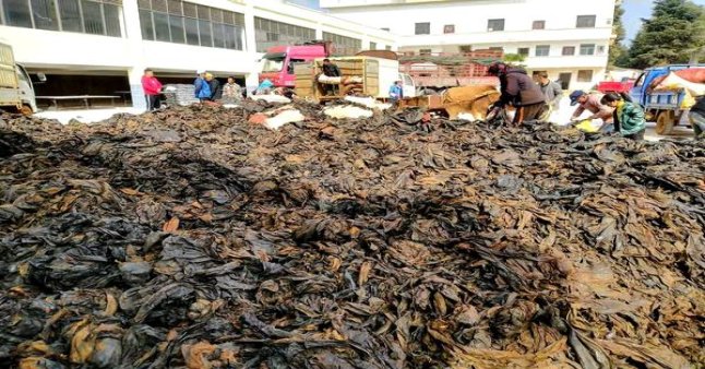 天子千里江山细支多少钱一盒2024？天子千里江山细支什么价格？