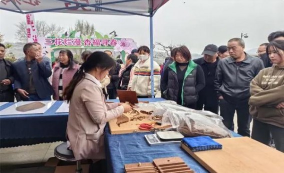 天子(传奇)批发，天子(传奇)什么价格？