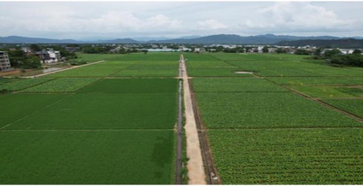 呼伦贝尔碧草云天什么价格？呼伦贝尔碧草云天价格表和图片