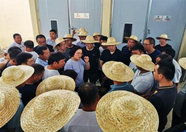 DJ Mix陈皮爆珠日版价格表图一览表 DJ Mix陈皮爆珠日版价格表图一览表 