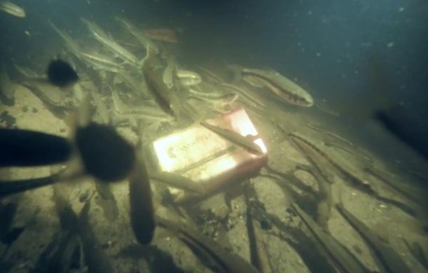 芙蓉王硬75mm价格表和图片芙蓉王硬75mm多少钱一包2024？