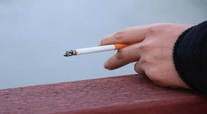 牡丹蓝中支批发价格是多少？牡丹蓝中支价格表和图片