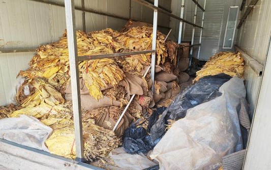 中华(12支硬)多少钱一包？中华(12支硬)多少钱一盒？