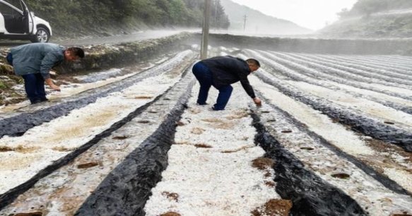 好猫(长安印象)什么价格？好猫(长安印象)价格表一览 