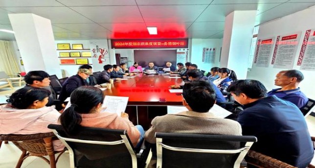 真龙锦绣东方多少钱一盒2024？真龙锦绣东方价钱批发 