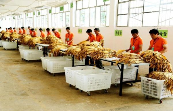 狮牌(锦绣成都)多少钱一包2025？狮牌(锦绣成都)香烟正品价格表 