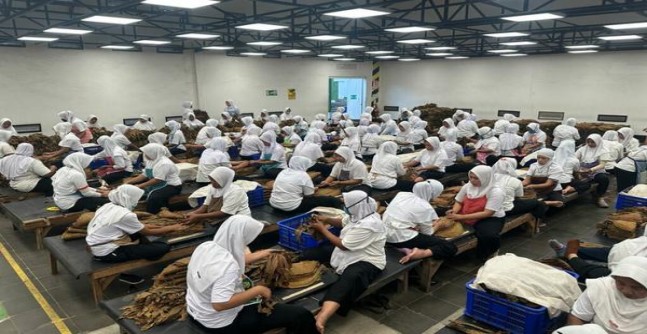 黄鹤楼银典香烟价格表2024 黄鹤楼银典多少钱一包？