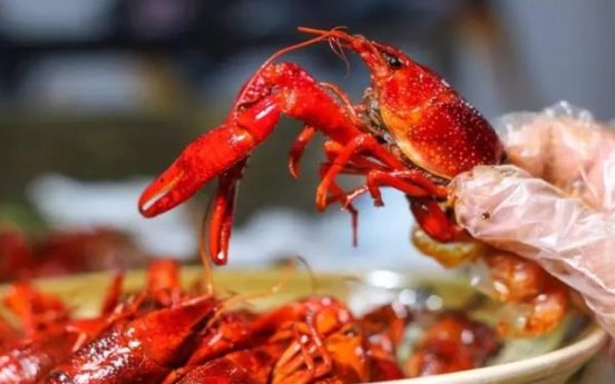 老板红价格表一览 老板红批发价格是多少？