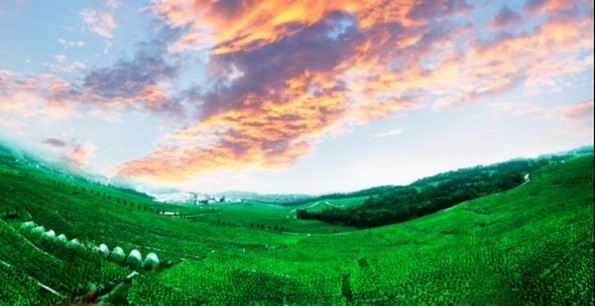 钻石天工方多少钱一盒？钻石天工方多少钱一包？