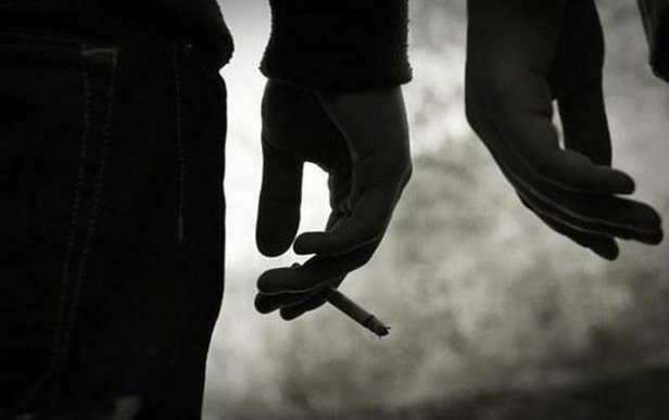 重大新闻！越代烟白箱“观者如云”