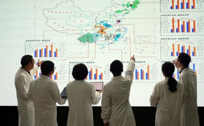真龙前程似锦.新版价格表和图片真龙前程似锦.新版多少钱一盒2024？