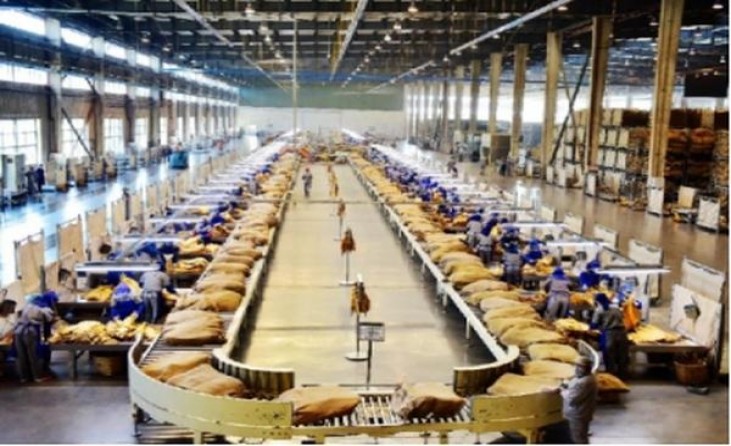 好彩(原味红卡塔尔版)多少钱一盒2025？好彩(原味红卡塔尔版)香烟价格 