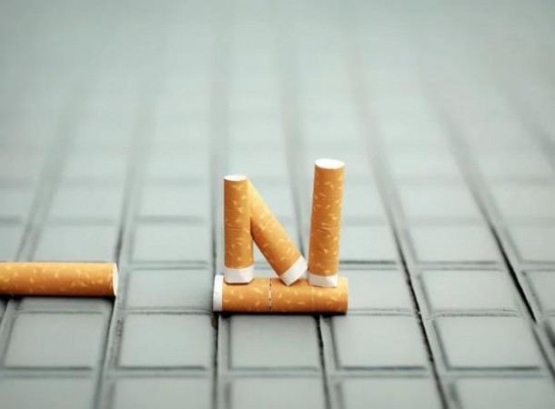 熊猫(经典细支)一手货源，熊猫(经典细支)多少钱一盒2024？