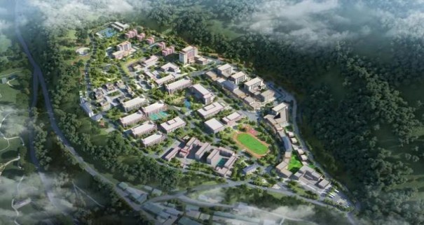 头条！福建云霄烟哪里买比较靠谱“鹏程万里”