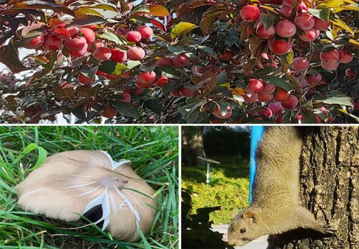 大前门细支出口多少钱一盒2024？大前门细支出口多少钱一盒？