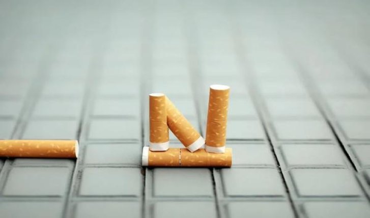 金圣滕王阁·金叶天香价格表图一览表 金圣滕王阁·金叶天香价钱批发 