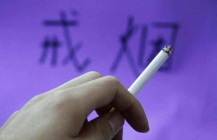 真龙(海纳百川)一手渠道，真龙(海纳百川)多少钱一盒2024？