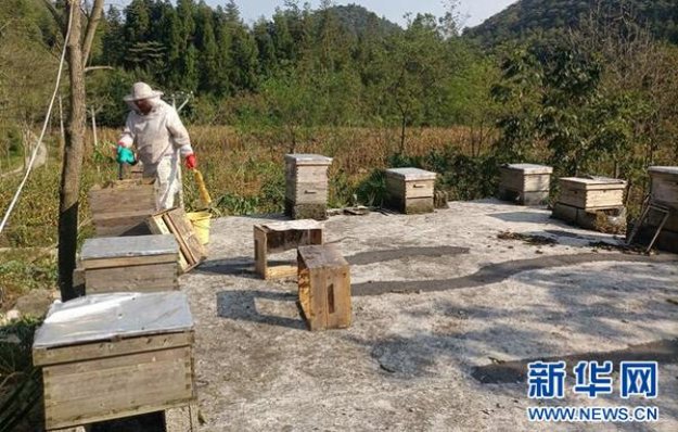 热点讨论！哪里有货源是厂家直接供货“杀鸡吓猴”