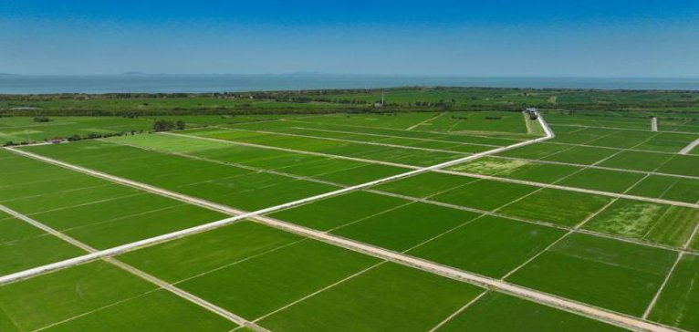 玉溪重缘多少钱一包2024？玉溪重缘香烟价格表2024 