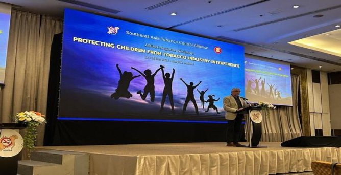 金圣青瓷多少钱一盒？金圣青瓷价格表和图片