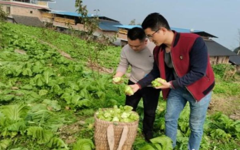 新消息！香烟批发网购货源充足“荣华富贵”
