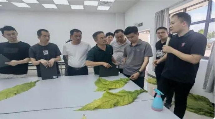 重点通报！顶级中华香烟微商货源网“车水马龙”