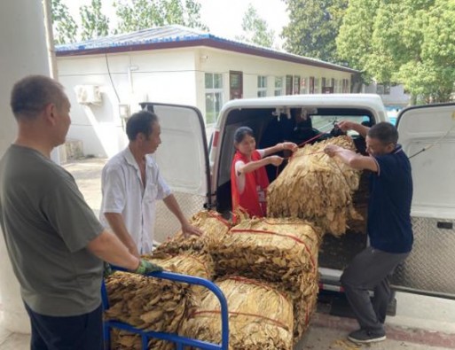 重大新闻！代购一手货源网“高谈阔论”