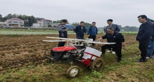 头条！中华香烟批发精品货源“美梦连连”