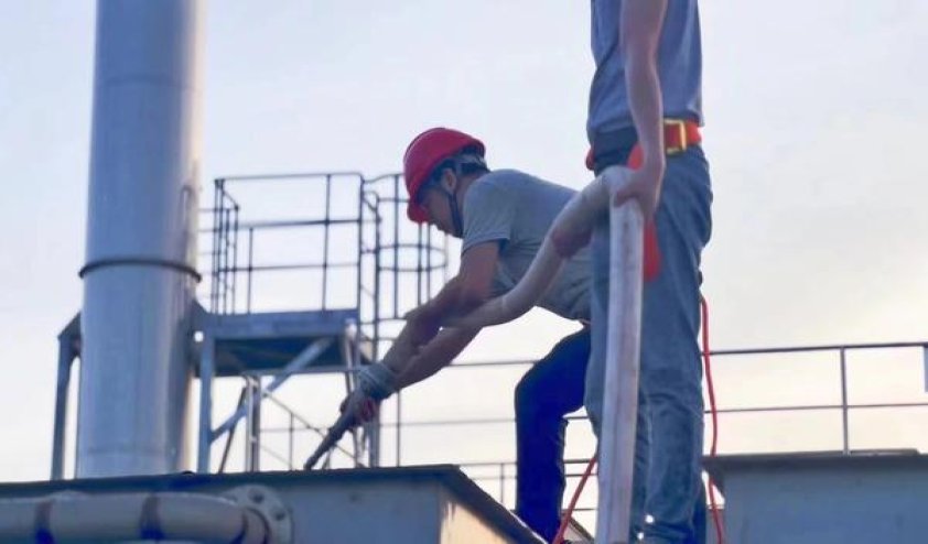 黄金叶(天之叶)厂家，黄金叶(天之叶)价格表和图片