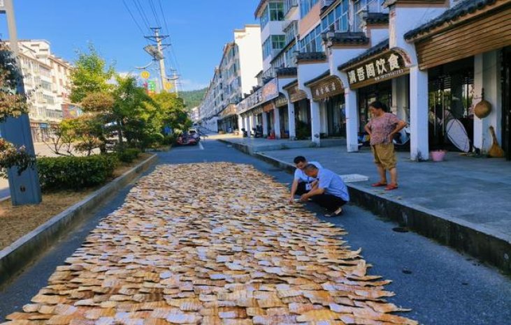 新消息！烟批发厂家“莺歌燕舞”