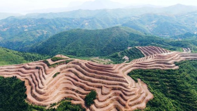 最新头条！正宗广西越南香烟批发“天崩地塌”
