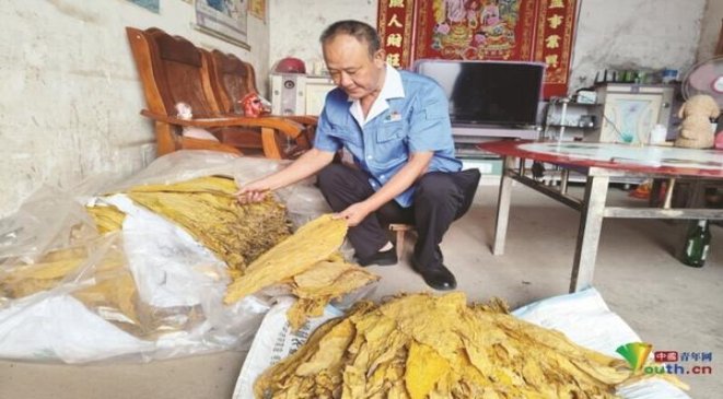 重大新闻！低价精仿香烟批发“千丝万缕”