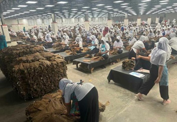 长城西双版纳批发价格是多少？长城西双版纳价钱批发 