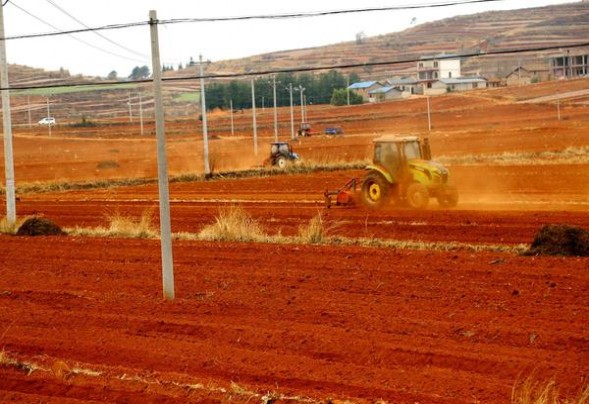 兰州(飞天花径中支)一手批发，兰州(飞天花径中支)价格表一览