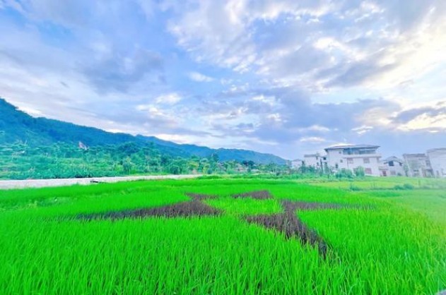 重点通报！口粮烟悦网“倒峡泻河”