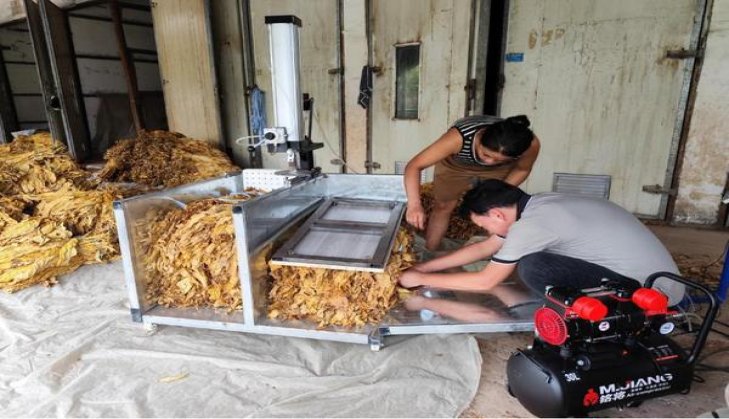 万宝路硬白金阿曼版价格表一览 万宝路硬白金阿曼版多少钱一包？