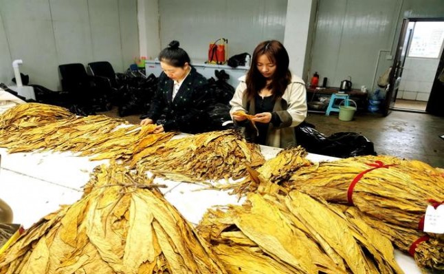 热点讨论！原厂直销一手货源可遇不可求“一枕黄粱”