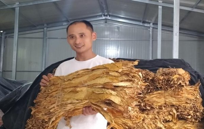 重点通报！越南代工质量保证信誉第一“虎入羊群”