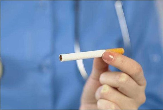 揭秘！长白山8mg探索独特烟草文化与创新工艺的融合
