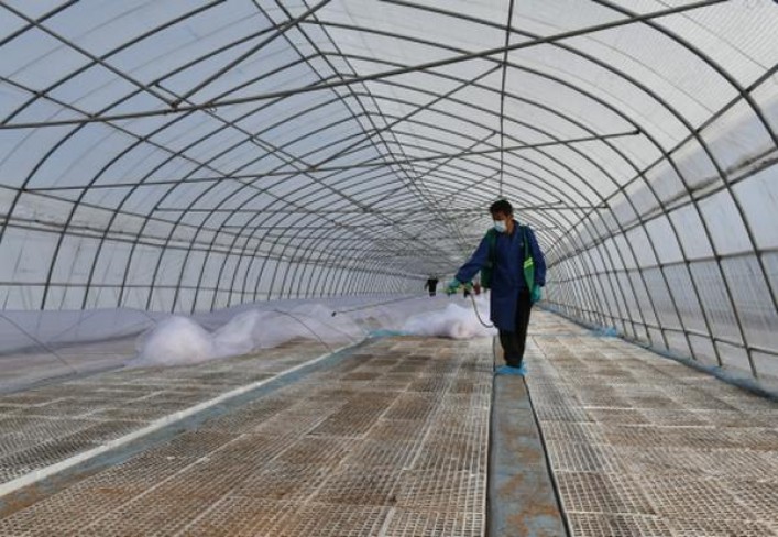 驰(醇香佳品)多少钱一盒2025？驰(醇香佳品)图片及价格 